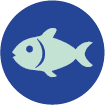 icono pescado. Lo+Bar. LoMás, Dermatología y Medicina Estética Integral