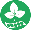 icono soja. Lo+Bar. LoMás, Dermatología y Medicina Estética Integral