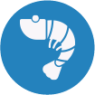icono pescado. Lo+Bar. LoMás, Dermatología y Medicina Estética Integral
